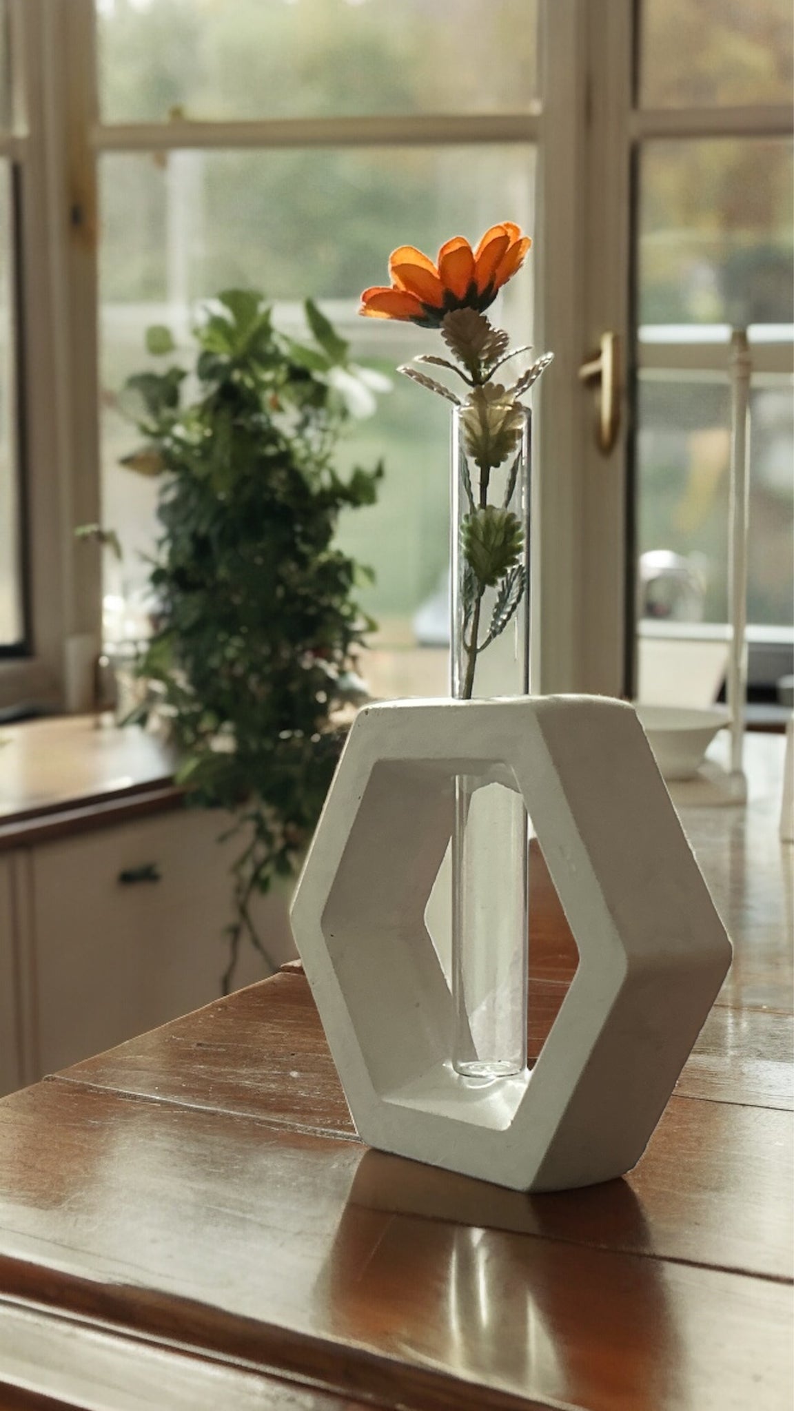 Why choose our Concrete Indoor Planters