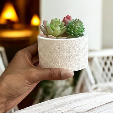 Concrete Round Indoor Planters Design 1, 8x8x6.5 cm (190g)