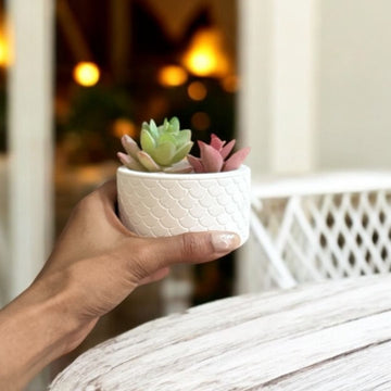 Concrete Round Indoor Planters Design 2, 8x8x6.5 cm (190g)