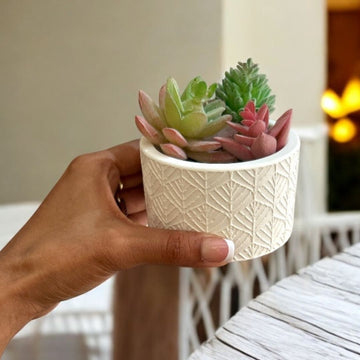 Concrete Round Indoor Planters Design 3, 8x8x6.5 cm (190g)