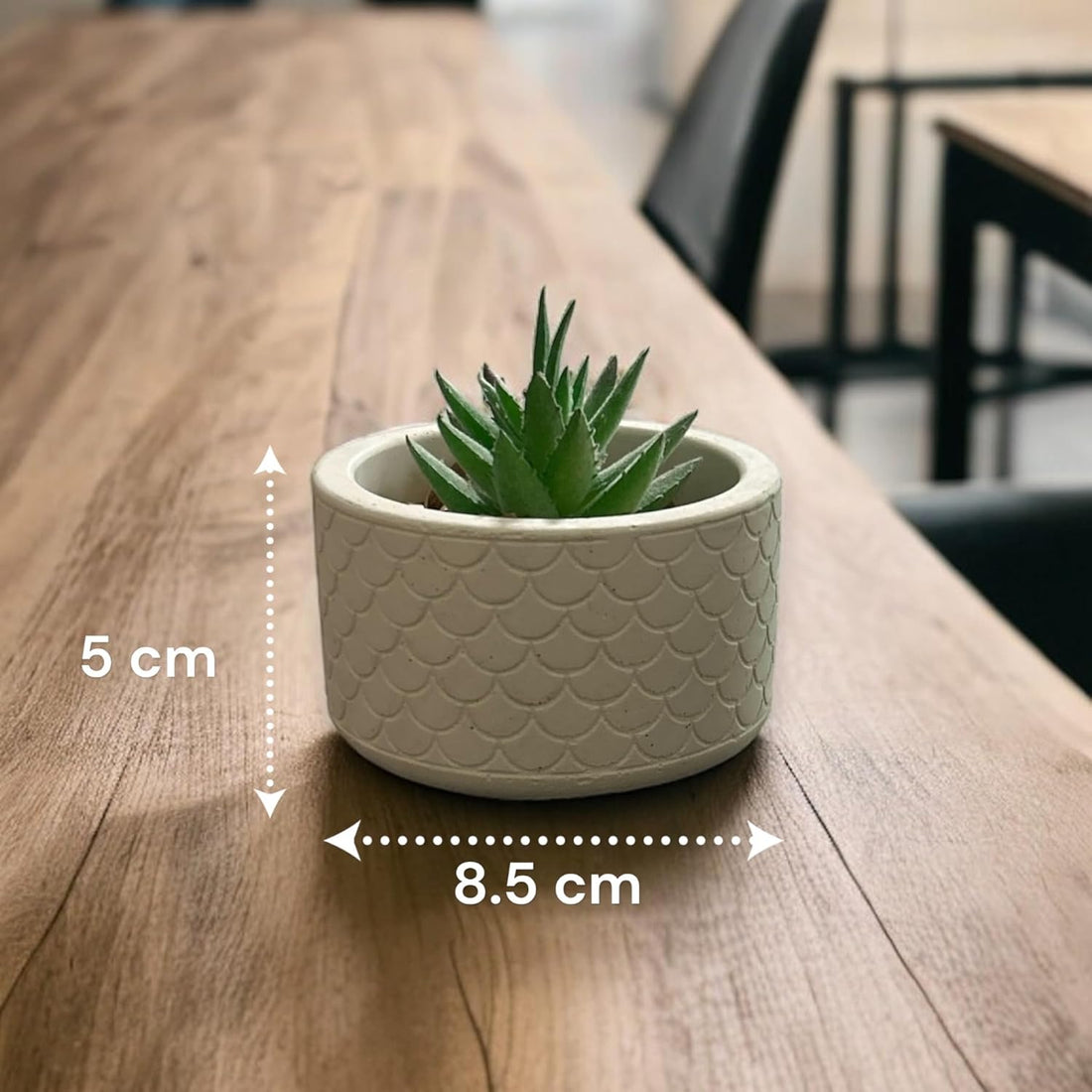 Concrete Round Indoor Planters Design 2, 8W x 6.5H cm (190g)